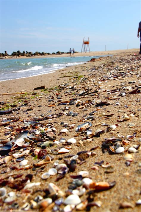 Sand and sea shells: beach relaxation - Travel Moments In Time - travel ...