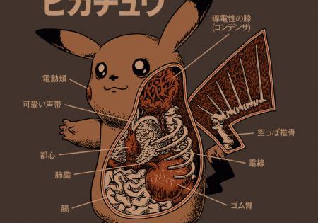 Pikachu Anatomy Pokemon Pinterest Digital Art Pikachu And 0