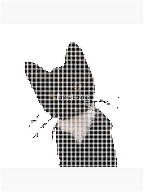 "Black Cat Pixel Art" Poster for Sale by Pixel4Art | Redbubble