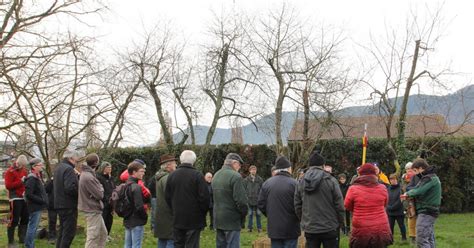 Triembach au Val Premier cours de taille de lannée