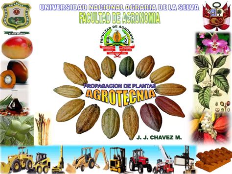 Agrotecnia 3 Propagacion Sexual Ppt