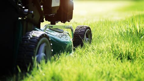 Best Lawn Mowers For Big Yards Consumer Reports