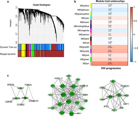 Wgcna Analysis Of Madnt Expression Data A Gene Co Expression Modules