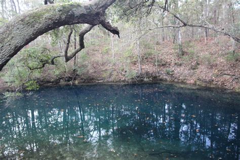 Falling Water And The Leon Sinks Geological Area Florida 121816