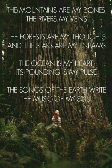 A Poem Written In Front Of A Giant Tree With The Words The Forest Are