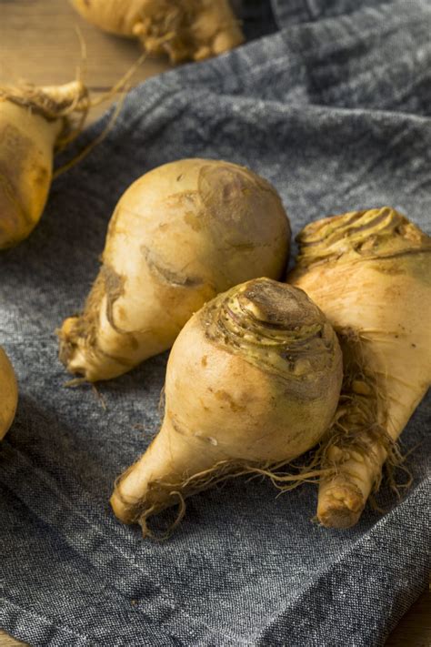 How To Grow Rutabaga Healthier Steps