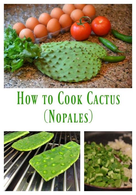 How To Cook Cactus Nopales Cactus Recipe How To Cook Nopales