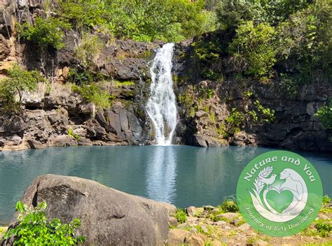 Nature & You (Waimea Waterfall Tours with Breakfast and Lunch) – Turtle ...