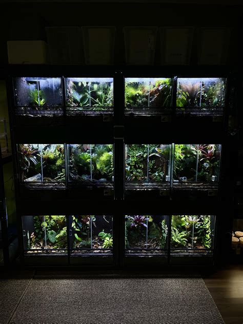 Frog rack is officially done after a year of progress. Half of the