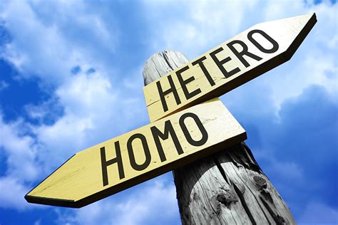 Especialista Em Masculinidade Diz Que Veganismo Parte Do Movimento Gay