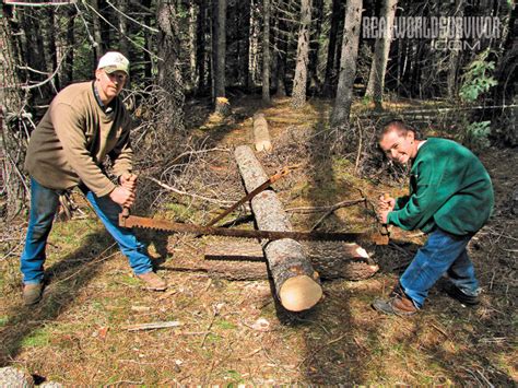 Caring For Crosscut Saws