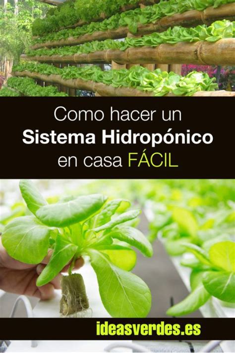 Como Hacer Un Sistema Hidroponico Casero F Cil Explicado Paso A Paso Y