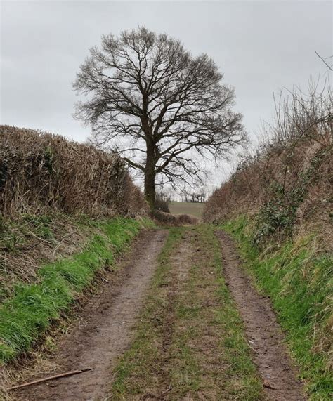 Track And Bridleway Towards Cleobury Mat Fascione Cc By Sa