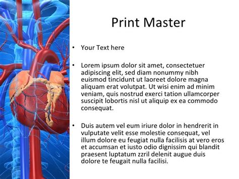 Cardiovascular System Diseases Power Point Templates