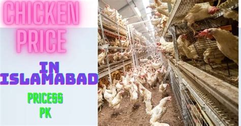 Today Chicken Rate Lahore Pricess Pk