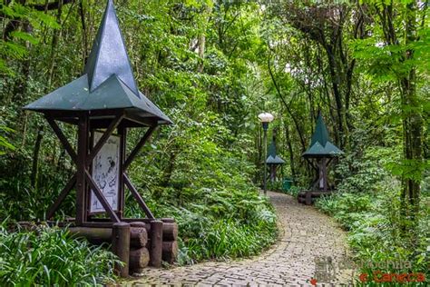 Conhe A Os Principais Parques De Curitiba