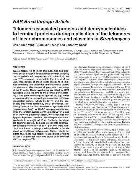 Pdf Telomere Associated Proteins Add Deoxynucleotides To Terminal