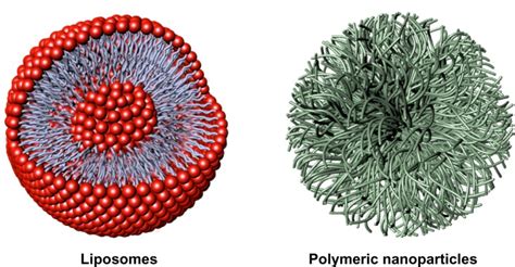 Representative Nanocarriers For Drug Delivery Ie Liposomes Left And