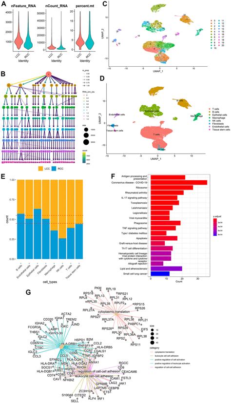 Comparative Analyses Of The Prognosis Tumor Immune Microenvironment