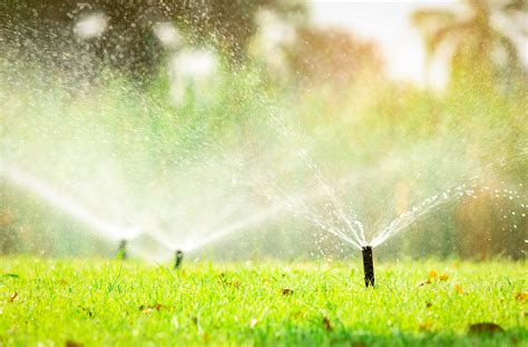 Reviews - Irrigation & Landscaping Contractor in Bradenton, FL | Munoz ...