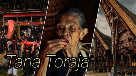 4 Hari Ngebolang Di Tana Toraja Ada Surga Tersembunyi Di Toraja YouTube