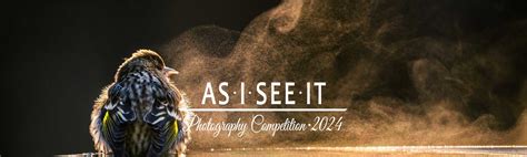 photo contest insider