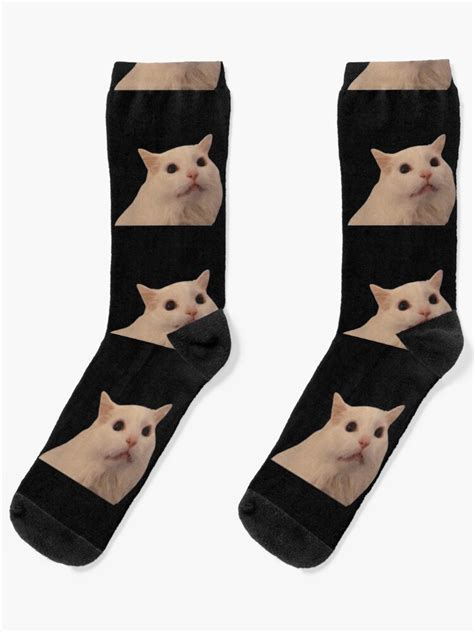 Cat Socks Meme Ubicaciondepersonascdmxgobmx