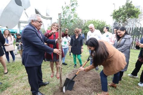 Ministra Contreras “los Bosques Ayudan A Mitigar Los Efectos Del