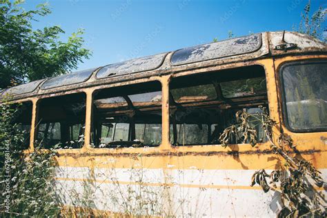 old, abandoned buses in the bushes. broken buses graveyard of old buses Stock Photo | Adobe Stock