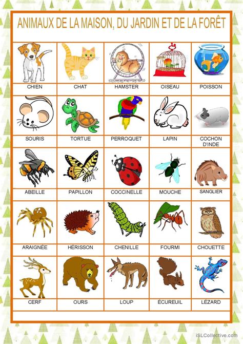 Animaux Dictionnaire Visuel Français Fle Fiches Pedagogiques Pdf And Doc