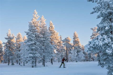 Faire Du Chien De Traineau En Laponie Finlandaise Le Guide Ultime