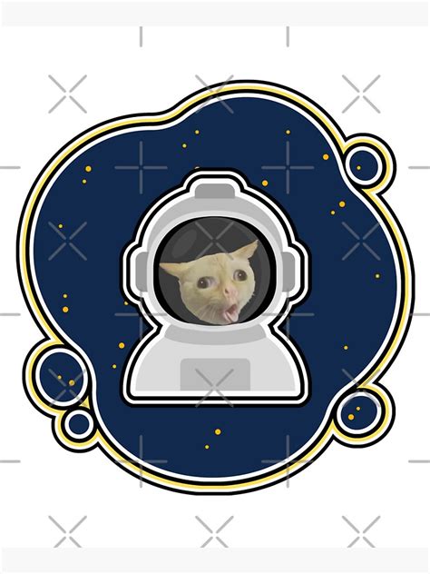 Bolsa De Tela «el Gato Espacial Un Gato Muy Travieso El Gato Enojado