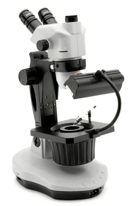 Microscopio Estereoscópico Optika OPTIGEM Raig