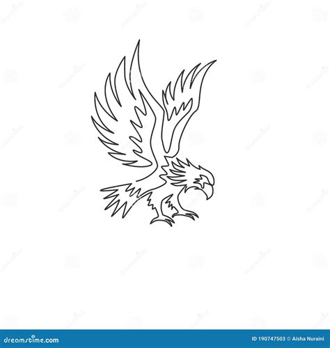 Hawk Line Drawing