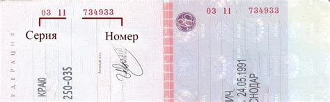 Где указана серия и номер паспорта гражданина РФ - Realconsult.ru