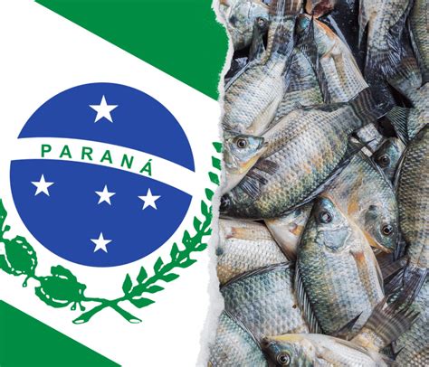 Paran Lidera Produ O E Exporta O Nacional De Carne De Peixe