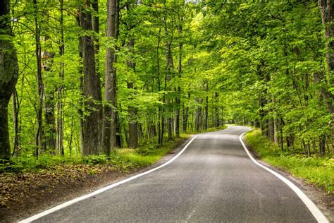 Beautiful Northern Michigan Tunnel Of Trees Scenic Drive Stock Image