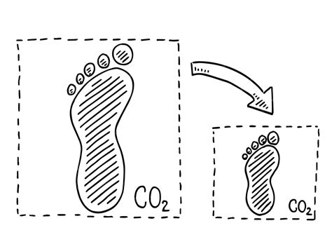 drawing on foot 11