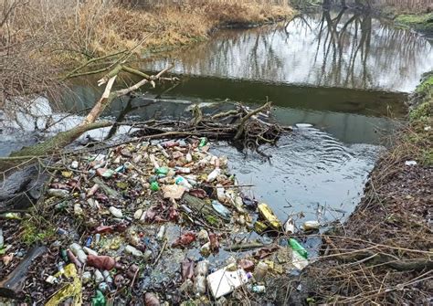 Inquinamento Dei Fiumi Rifiuti Galleggianti Nell Acqua Fotografia