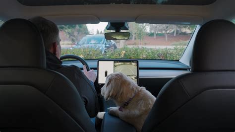 Tesla On Twitter View The Cabin Camera From The Tesla App While Using