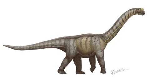 Camarasaurus Paleo Media Wiki Fandom