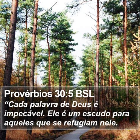 Provérbios 30 5 BSL Cada palavra de Deus é impecável Ele é um