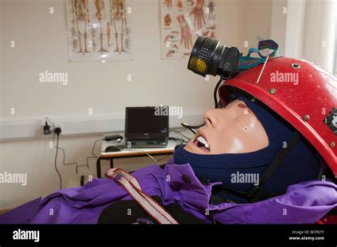 Simulation Dummy Hi Res Stock Photography And Images Alamy