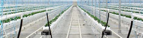 Система капельного орошения