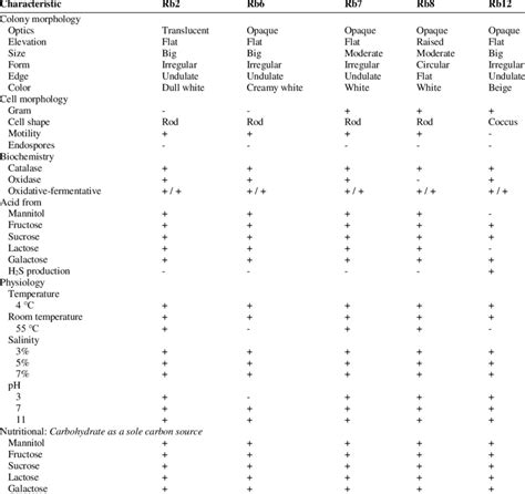 A Characterization Of Selected Rhizobacteria Isolated From Iron Sand