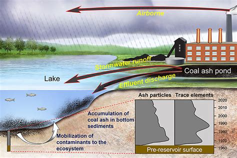 Lake Sediments Show Decades Of Coal Ash Contamination