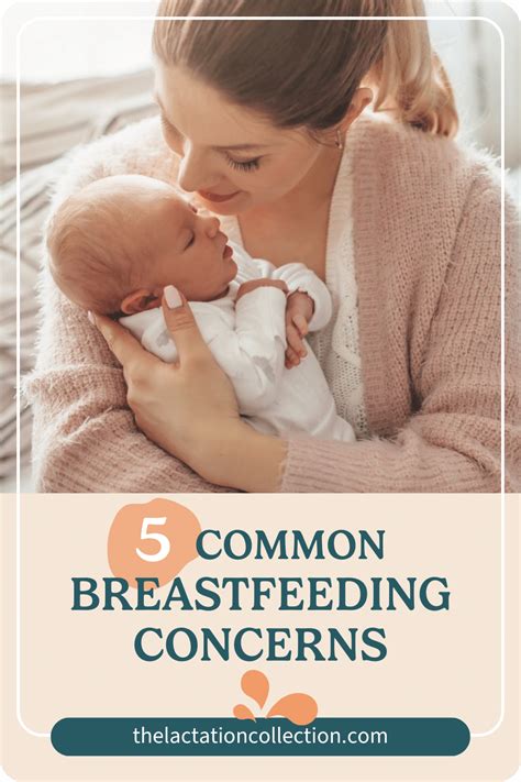 5 Common Breastfeeding Concerns The Lactation Collection