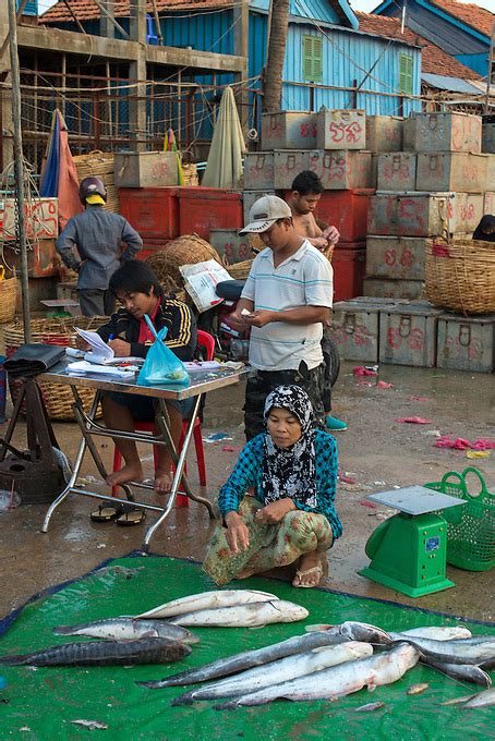 Early Morning Whole Sale Fish Market On The Banks Of The Mekong River