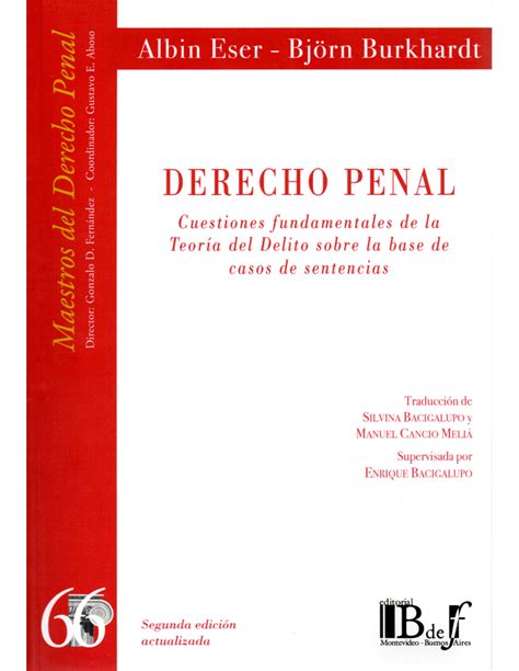 Derecho Penal Cuestiones Fundamentales De La Teor A Del Delito