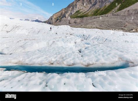 Hike In Alaska At Summertime Stock Photo Alamy